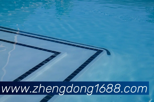 奖项证书